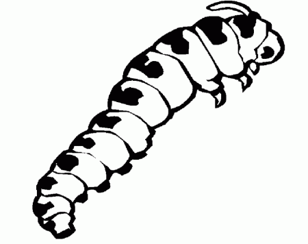 Hungry Caterpillar Coloring Pages Picture - Caterpillar Cartoon 