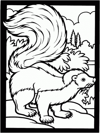 Skunk Coloring Pages | 99coloring.com