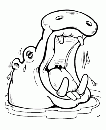 Hippopotamus-coloring-pages-3 | Free Coloring Page Site