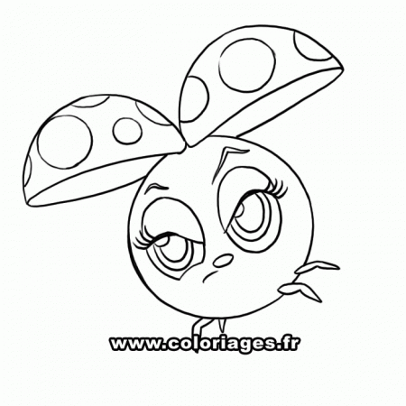 zoobles coloriage Colouring Pages