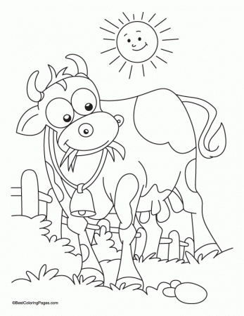 Sun-bathing with grass eating cow coloring page | Download Free 