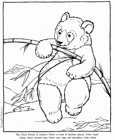 Zoo Animal Coloring Pages | COLORING WS
