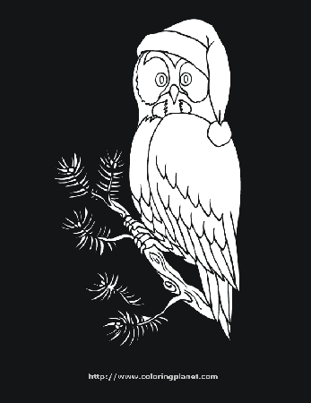 Christmas owl printable coloring in pages for kids - number 4077 