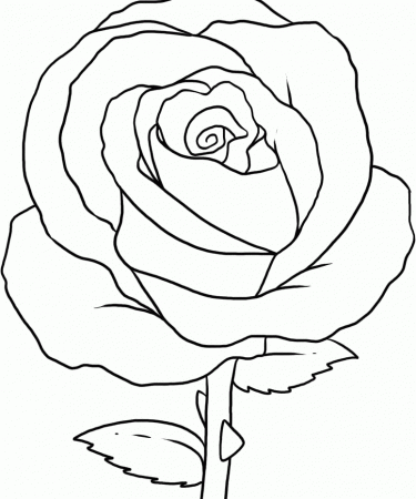 The Beautiful And Attractive Flower Coloring For Kids - Flower 