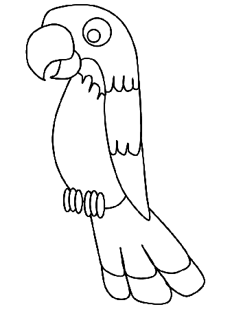 parrot snakes Colouring Pages