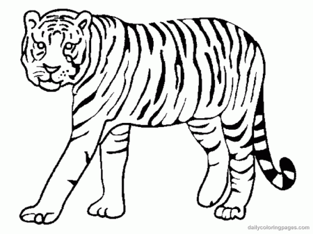 Tiger Coloring Pages To Print