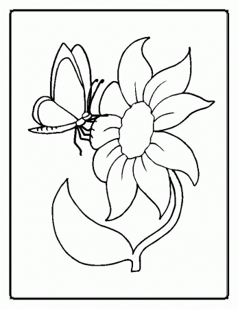 butterfly Flower Coloring Page | HelloColoring.com | Coloring Pages