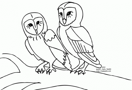 barn owls Colouring Pages