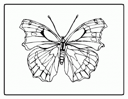 Butterfly Coloring Pages For Kids Tattoo