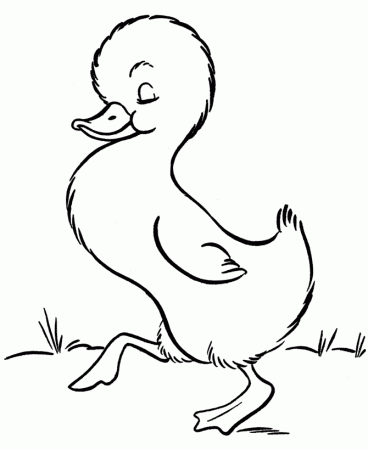 Duckling Coloring Pages - Free Printable Coloring Pages | Free 