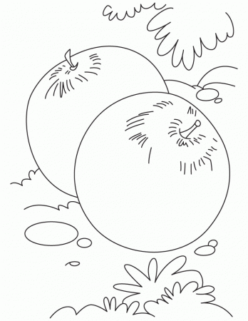 printable fruit coloring pages for kids | Best Coloring Pages
