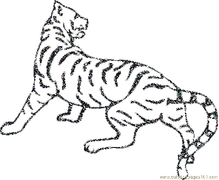 Animal Coloring Related Pictures Paw Print Coloring Pages Download 