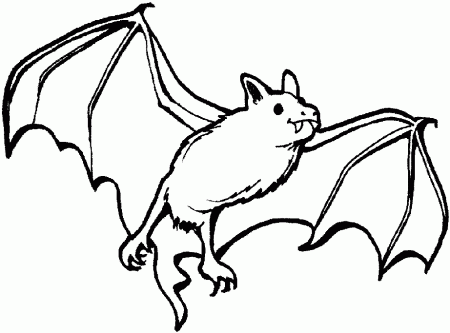 Bat Coloring Pages For Kids - Free Printable Coloring Pages | Free 