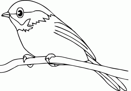 Bird Coloring Pages For Kids - Free Printable Coloring Pages 