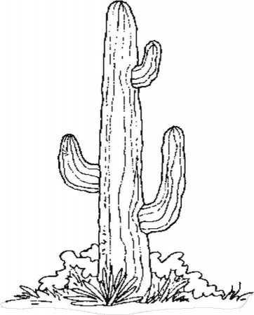 Cactus.png - Free Color Pages - Printable Pages - Holiday 