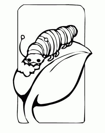 caterpillar Colouring Pages (page 2)