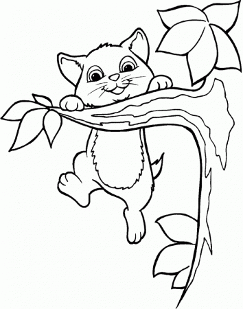 Dove On A Branch Coloring Pages - Tree Coloring Pages : Free 