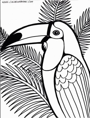 Toucan Coloring Page Kids | 99coloring.com