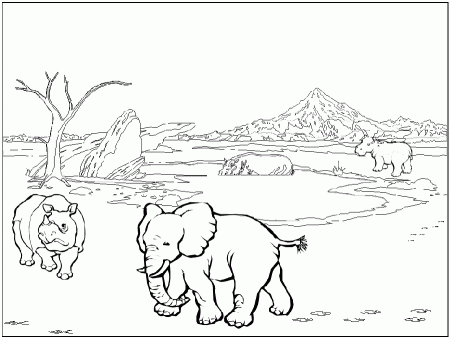 animals of africa Colouring Pages (page 2)
