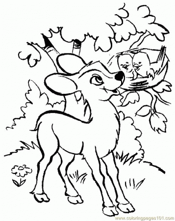 Coloring Pages Baby Deers (Mammals > Deer) - free printable 
