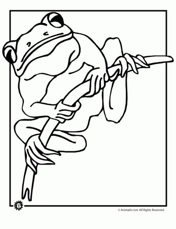 frog coloring page of frogs playing leapfrog