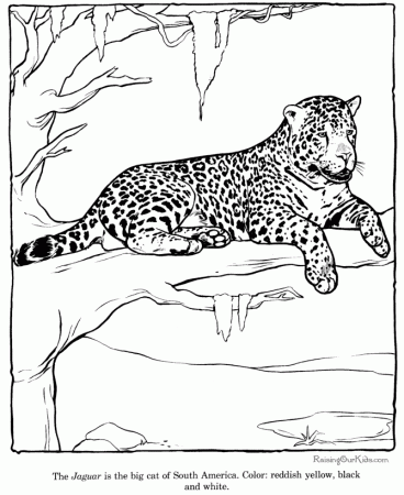Free Coloring Pages For Zoo Animals Preschool 365 | Free Printable 