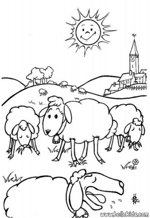 FARM ANIMAL coloring pages - Sheep