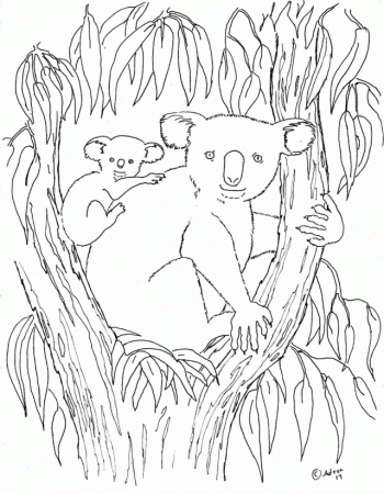 Coloring Pages For Kids By Mr Adron February 2013 239459 Celtic 
