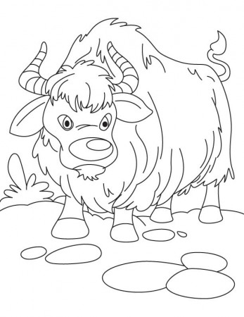 Wild Kats Coloring Pages