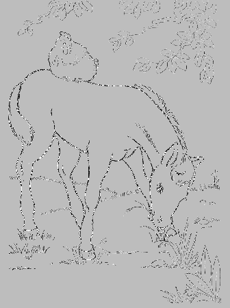Horses Were Packed With Chickens Coloring Pages - Horse Coloring 