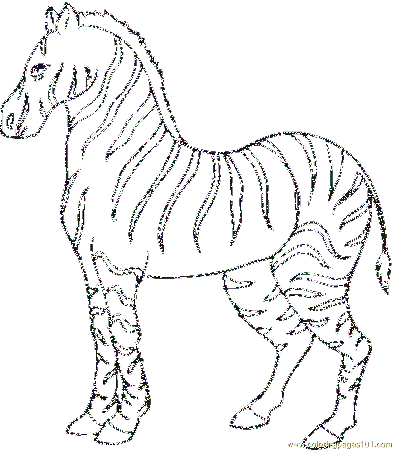 Coloring Pages Zebra (Mammals > Zebra) - free printable coloring 