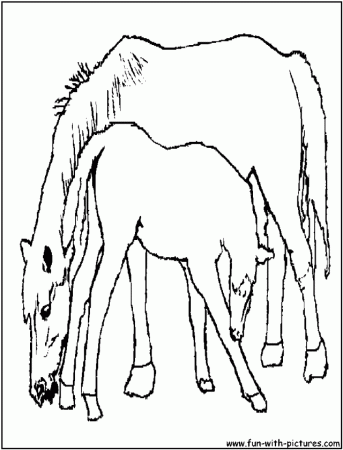 Pictures Foal Coloring Pages Foal And Its Mother Picture To Color 