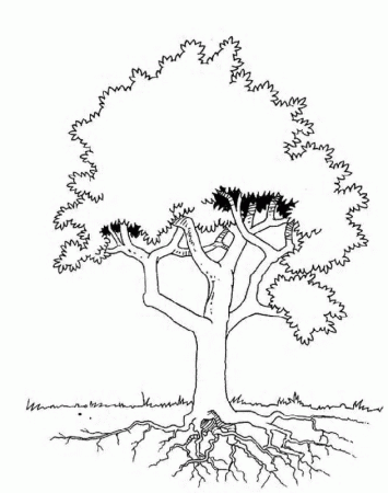 Trees and leaves | Free Printable Coloring Pages 
