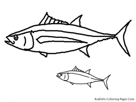 realistic-fish-coloring-pages-84