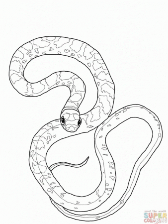 Black Racer Snake Coloring Page Id 46446 Uncategorized Yoand 37588 