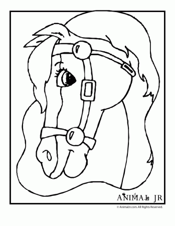 y878naly: horses and ponies coloring pages
