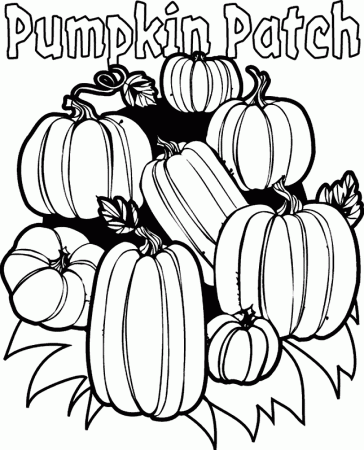 Pumpkin Patch For Halloween Coloring Page : New Coloring Pages