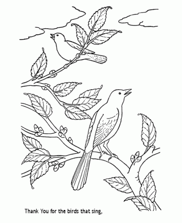 spring flower coloring pages to print for kids