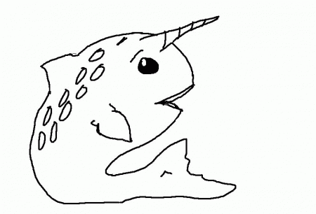 color your own narwhal by OrangeOregano on deviantART