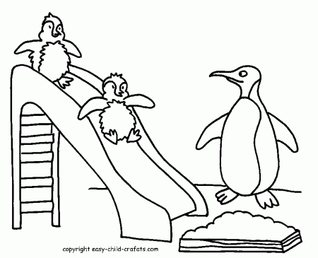 Penguin Color Page | Animal Coloring Pages | Kids Coloring Pages 