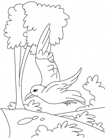 A flying gull coloring page | Download Free A flying gull coloring 