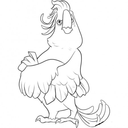 Rio Birds coloring page for kids | coloring pages