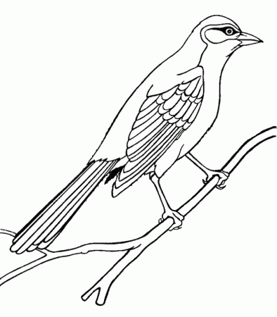 Mockingbird coloring page - Animals Town - animals color sheet 
