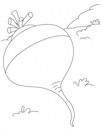 VEGETABLES TURNIP Colouring Pages (page 2)