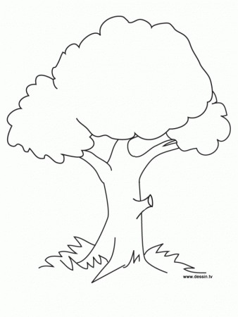 Nature Printable tree coloring pages for kids | Great Coloring Pages