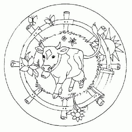 Download Cow In The Farm Mandala Coloring Pages Or Print Cow In 