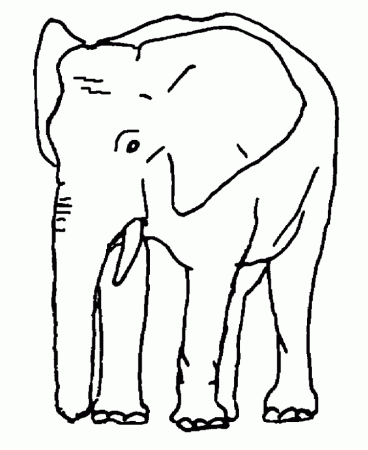 color in elephant | Coloring Picture HD For Kids | Fransus.com670 