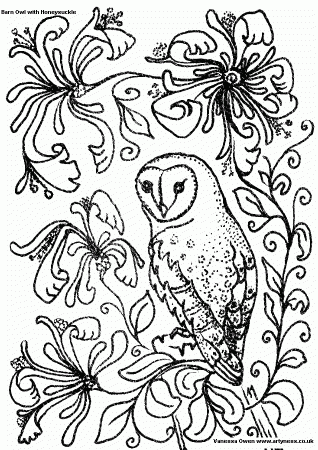 Owls Coloring Pages | Coloring Pages