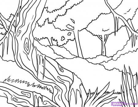 not drawing jungle scene Colouring Pages