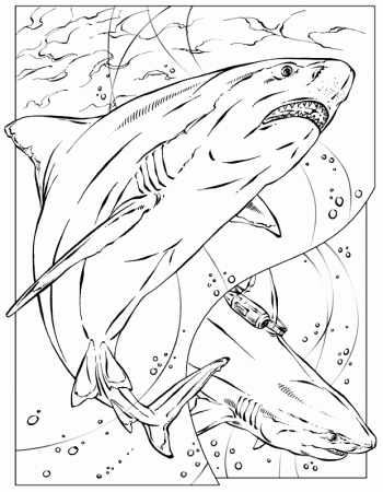 Basking Shark coloring page - Animals Town - animals color sheet 